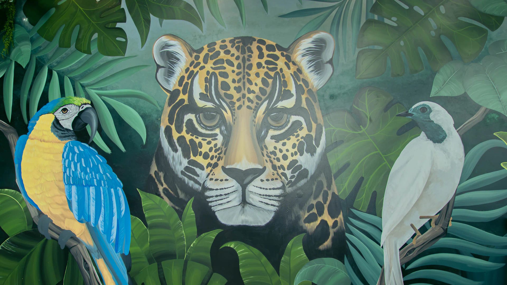 Mural pintado con un jaguar entre hojas de selva, un guacamayo azul y amarillo y un pájaro blanco